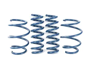 Dinan Performance Spring Set
