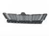 ES#2596166 - 51117304057 - F06 Grill - Air Intake - Center - Genuine BMW - BMW