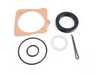 ES#2801475 - 311598051 - REAR AXLE SEAL KIT - Rein - 