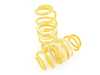 ES#4057055 - 1828000N - ST XA Performance Coilovers - Adjustable Damping - ST XA coilovers offer high performane handling with adjustable rebound dampening. - Suspension Techniques - Volkswagen