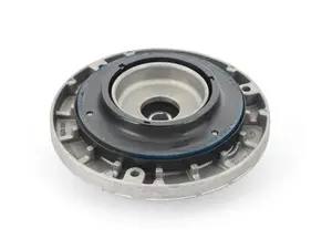 Strut Mount & Bearing