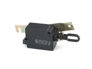 ACTUATOR F TRUNK LID