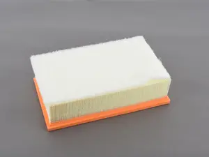 Air Filter - Cold Weather