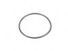 ES#2787441 - 34336799317 - BRAKE MASTER CYLINDER O-RING - Genuine MINI - BMW MINI