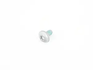 FILLISTER HEAD SCREW