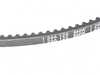 ES#2679042 - 11231266124 - Drive Belt - Alternator - Dont be stranded replace your belt before it brakes - Genuine BMW - BMW
