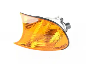 Front Turn Signal Assembly - Left