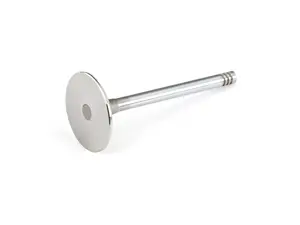 Intake Valve - Priced Each