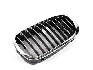 Kidney Grille - Left