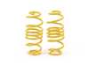 ES#4056461 - 2538000N - KW Height Adjustable Spring Kit - KW height adjustable springs kits are a great alternative to conventional springs. - KW Suspension - Volkswagen