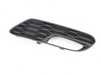 ES#2921661 - 51127351659 - GRID LOWER PART LEFT - Replacement lower grille - Genuine BMW - MINI