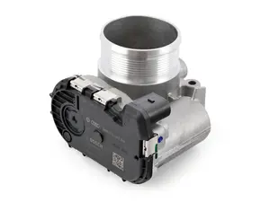 Throttle Body Assembly