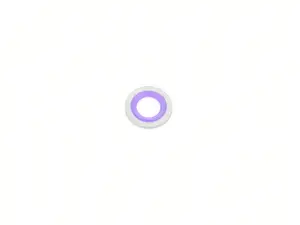 Gasket Ring