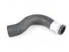 ES#2533674 - 1245012482 - Radiator Hose - Upper Hose - URO - Mercedes Benz