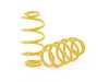 ES#4057039 - 13280077 - ST X Performance Coilover System - Fixed Damping - Set your vehicle low and tight for optimal performance. - Suspension Techniques - Audi Volkswagen