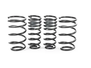 Pro-Kit Performance Springs - FWD