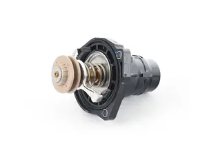 Coolant Thermostat w/ Characteristics Control
