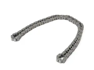 Lower Timing Chain