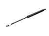 ES#4069843 - 51248110327 - Trunk Gas Strut - Priced Each - Replacement Trunk Gas Strut - Priced Each from Meyle - Meyle - BMW