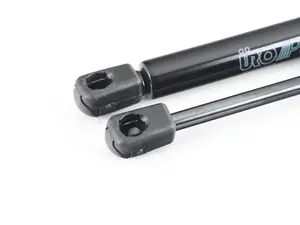 Hood And Trunk Strut Kit 