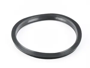 In-Tank Fuel Pump Gasket