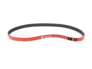 Performance Kevlar Reinforced Accessory Belt