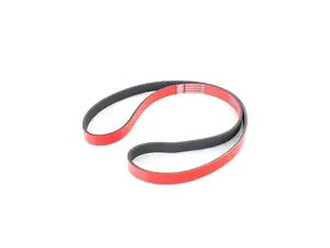 Performance Kevlar Reinforced Accessory Belt