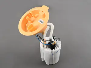 Low Pressure Fuel Filter/Pump Assembly