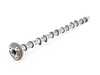 ES#4179642 - 11318575439 - INLET CAMSHAFT - Genuine BMW - BMW