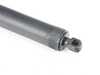 ES#2711574 - 51247294469 - F15 X5 Hatch Shock - Gas Pressurized Support - Genuine BMW - BMW