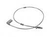 ES#3581701 - 2059059616 - RPM SENSOR - Genuine Mercedes Benz - Mercedes Benz
