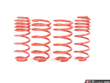 ES#2825995 - 55.10.70 - Spring Sets - (NO LONGER AVAILABLE) - Neuspeed - 