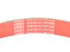 ES#4043248 - 7PK1300ECS - Performance Kevlar Reinforced Supercharger Belt - Our Red Kevlar accessory Belts are both an aesthetic improvement and a performance alternative to a traditional belt. - ECS - Audi
