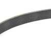 ES#3677878 - 06E903137AB - Performance Kevlar Reinforced Supercharger Belt - Our Red Kevlar accessory Belts are both an aesthetic improvement and a performance alternative to a traditional belt. - ECS - Audi Volkswagen