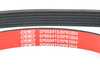ES#4305020 - 06F9033151KT1 - Accessory Belt Kit With ECS Performance Kevlar Reinforced Accessory Belt - Keep your drive belt tight with an ECS Performance Kevlar Reinforced Accessory Belt, tensioner, and hardware. - Assembled By ECS - Audi Volkswagen