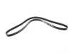 ES#2975775 - 11287520199 - Multi Rib Accessory Belt K060547 - Main drive belt that connects to the main pulley - Gates - MINI