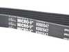 ES#2975775 - 11287520199 - Multi Rib Accessory Belt K060547 - Main drive belt that connects to the main pulley - Gates - MINI