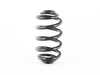 ES#58878 - 33533413079 - Rear Coil Spring - Replace your cracked springs - Genuine BMW - BMW