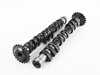 ES#4045685 - 1004052 - Camshaft Set - Audi 2.7T - Complete set includes two intake & two exhaust cams - 265 degree intake / 250 degree exhaust - Cat Cams - Audi