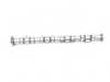 ES#4304696 - 11311485827 - Camshaft Superseded to ES#4304666 - (NO LONGER AVAILABLE) - Single cam with stock setting - Moog - 