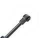 ES#3490684 - 1Y0827550F - Trunk Strut - Priced Each - Strut to hold rear trunk lid up. - URO - Volkswagen