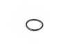 ES#2976909 - WHT007120 - Transmission Filter O-Ring - Genuine Volkswagen Audi - Volkswagen
