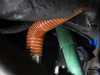 ES#4315552 - I48 - Rennline Silicone Heat Exchanger Hoses - Pair - Heat resistant hoses to replace the ugly, delicate factory ones. 60mm x 330mm - Rennline - Porsche