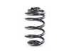 ES#3474845 - 33533413080 - E83 X3 Rear Spring - Priced Each - Restore ride quality and alignment - Febi - BMW