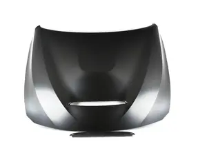 Aluminum GTS Style Hood 