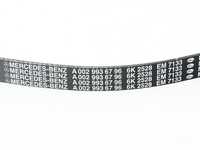 Genuine Mercedes Benz - 0029936796 - Multi-Rib Accessory Belt