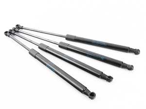 ES#2586671 - 51247250308KT - Hood And Trunk Strut Kit - Utilizes all genuine BMW components  - Genuine BMW - BMW