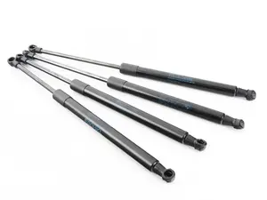 Hood And Trunk Strut Kit