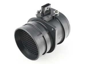 Mass Air Flow Sensor (MAF)