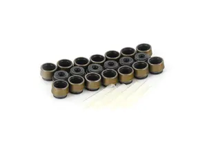 Valve seal ring repair kit